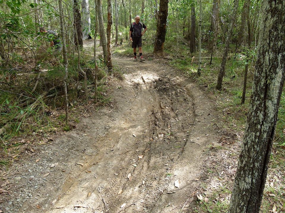 P1160419.jpg